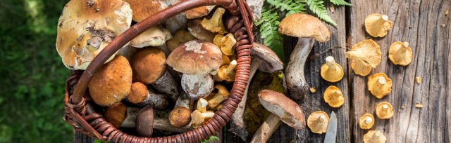 East Lothian Fungi Foray & Feed