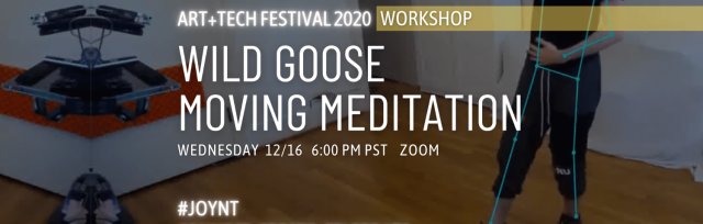 Workshop: Wild Goose Moving Meditation