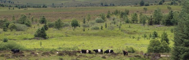 Farming For Nature Walk with Nia O'Malley - June (Co. Galway)