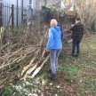 Introduction to Hedgelaying image