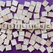 Resilience 101: Mental Fitness, Positive Psychology and the Power of Tiny Habits with Dr Tamra Wright image