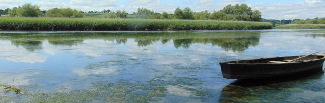 Aquatic Plant Project Field Day - H31 Louth
