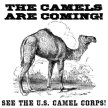 The US Army Camel Experiment School Day Event image