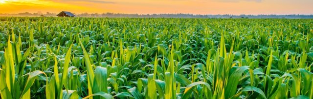 AgriTech 4.0 - Crops, Seeds & Soil (CSS) 2021