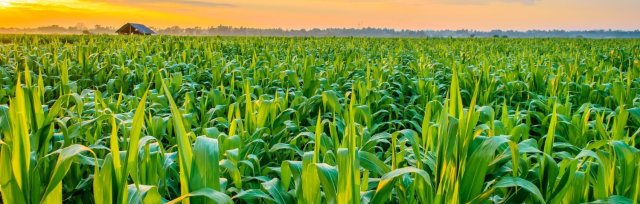 AgriTech 4.0: Crops, Seeds & Soil 2022