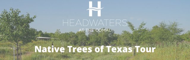 Restoration Tour: Native Trees of Texas