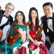 Viano String Quartet ~ Chamber Music Marin image