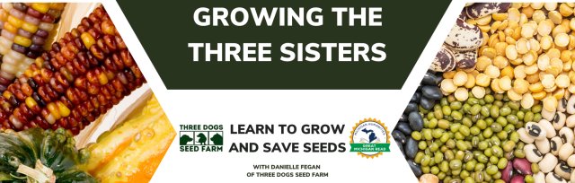 Three Sisters Gardening and Seed Saving with Danielle Fegan
