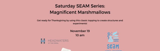 Saturday SEAM Series: Magnificent Marshmallows