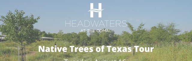 Twilight Tour: Native Trees of Texas