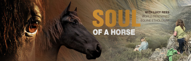 The Soul of a Horse with Lucy Rees