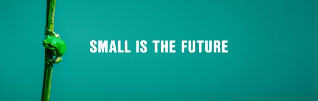 Small is the Future Online