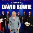 Sound & Vision (David Bowie tribute band) image
