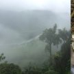 Ecuadorian Cloud Forest Mystery image
