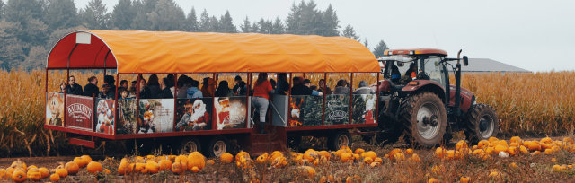 Bauman's Harvest Festival 2023