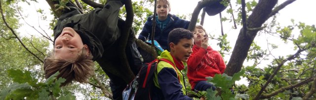 Saltaire October Holiday Forest School