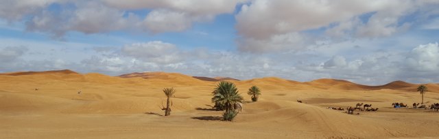 Seminar kreative Auszeit in der Wüste