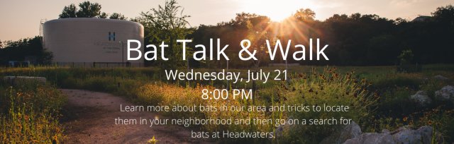 Bat Talk & Walk
