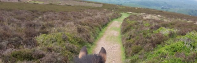 Ride Out UK Longmynd Guided Ride