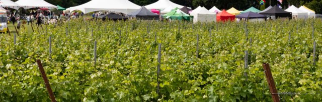 English Wine and Food Festival 2022