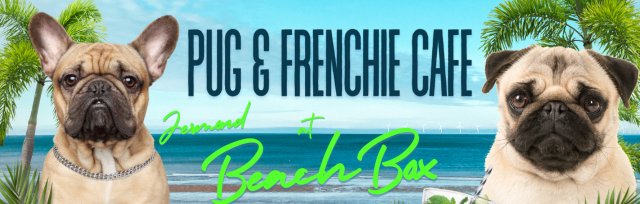 Pug & Frenchie Cafe™ at Beach Box Newcastle