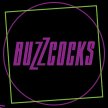Buzzcocks image
