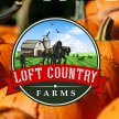 Loft Country Pumpkin Patch 2023 image