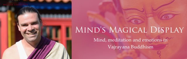 Mind's magical display: Mind, meditation and emotions in Vajrayana Buddhism