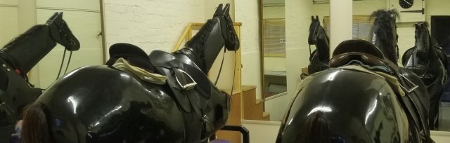 BHS East Sussex Committee Mechanical Horse Riding Training