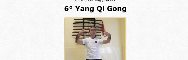(ONLINE) Nei Qi Gong Seminar 6: "Yang Qi Gong" with Jiaoshi Andrea