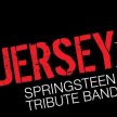 Jersey: Bruce Springsteen Tribute Band image
