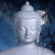 Study Buddhism - 4 week trial image
