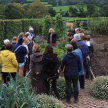 Small garden, big ideas – designing and planting the small garden with Hester Forde & Annie Guilfoyle image