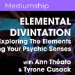 Elemental Divination with Ann Theato and Tyrone Cusack image