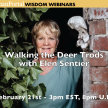 Walking the Deer Trods with Elen Sentier image