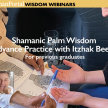 Shamanic Palm reading Advance practice with Itzhak Beery image