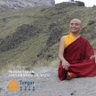 Anytime Anywhere Meditation - Live-streamed from Sydney with Yongey Mingyur Rinpoche (ONLINE ONLY) image