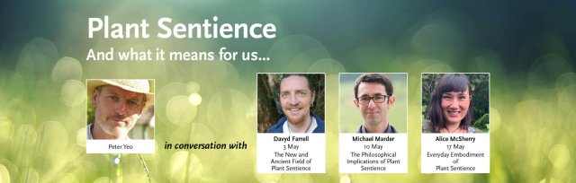 A Trilogy of Talks: Plant Sentience and What it Means for Us – Conversations with Pete Yeo