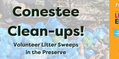 Conestee Cleanups! - Volunteer Litter Sweeps in the Preserve