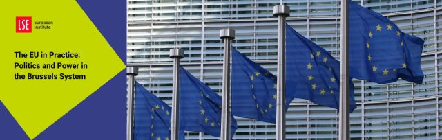 EU IN PRACTICE: ‘Thinking about the 2024 US Presidential and Congressional elections'