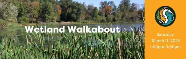 Wetland Walkabout