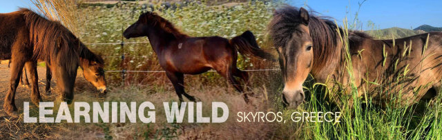 Learning Wild: Skyros