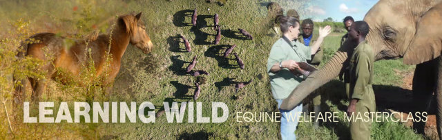 Equine Welfare Masterclass: Learning Wild with Dr Marthe Kiley-Worthington