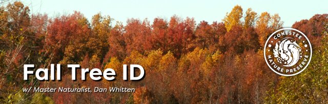 Tree ID with Dan Whitten