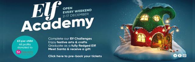 Elf Academy - become one of Santa's Elves and meet Santa!