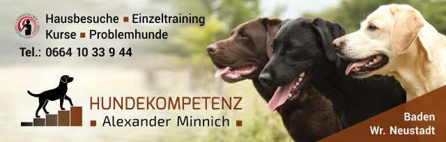 NÖ Sachkunde - NÖ Hundepass - Hundekompetenz Baden