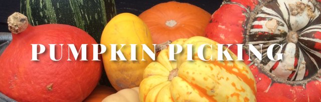 Pumpkin Picking, Wild Woodland Trail and Halloween Pumpkin Carving