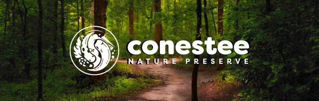 Forest Bathing and Nature Therapy Walk