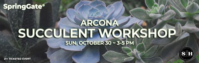Arcona Succulent Workshop
