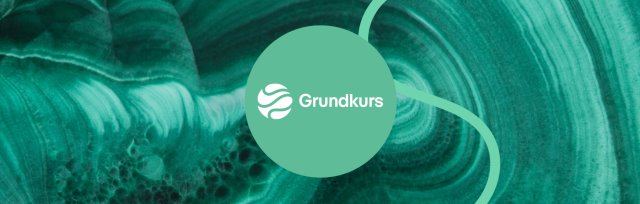 Grundkurs (Start: 08.11.2022)